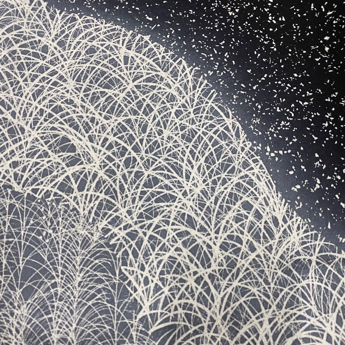 訪問着 身丈166.5cm