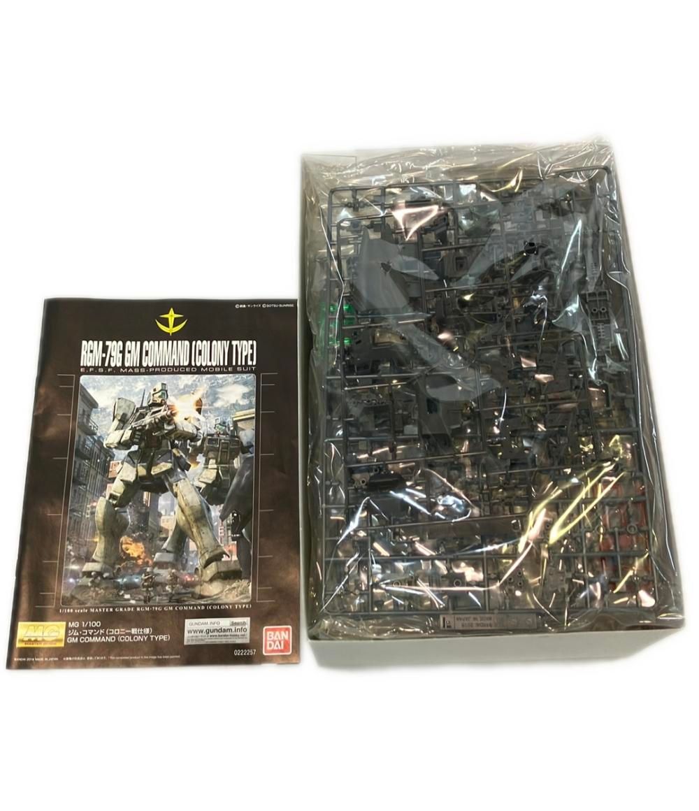 コロニー戦仕様 1|100