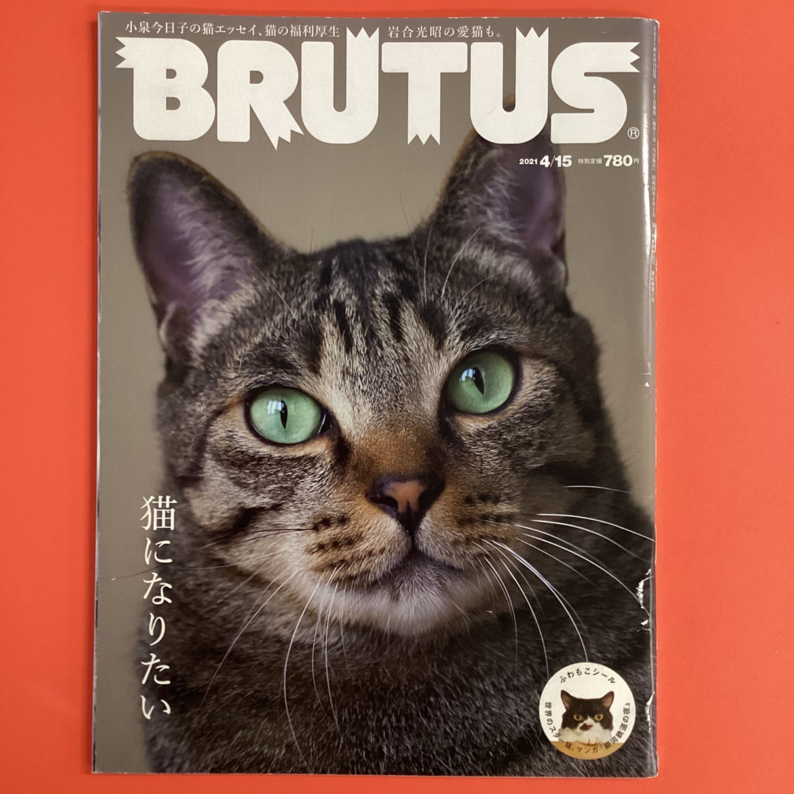 BRUTUS(ブルータス)2021年10月15日号 - 住まい