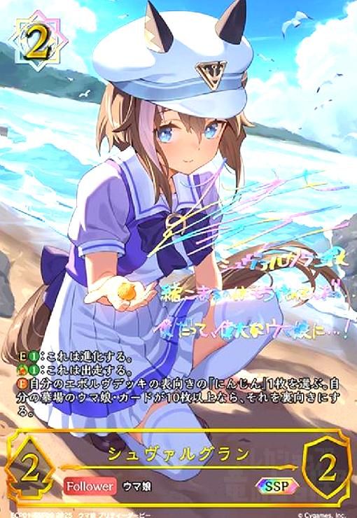 シュヴァルグラン(SSP)(ECP01-SSP09)-日本製