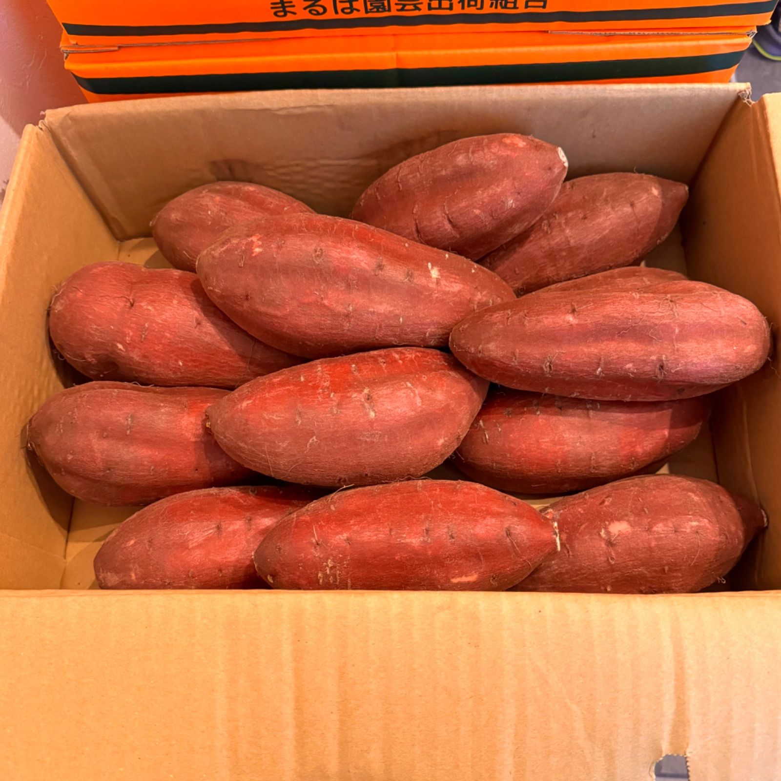 茨城県産 シルクスイート Lサイズ 5kg箱 まるは園芸出荷組合