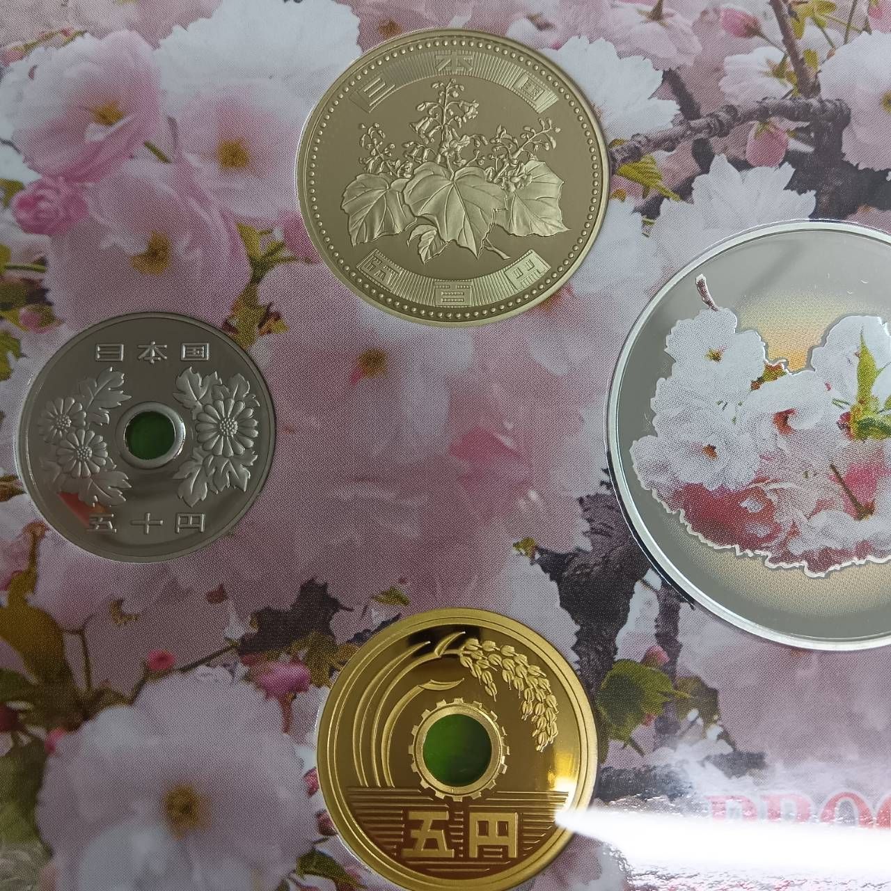 桜の通り抜けプルーフ貨幣セット2018年平成30年 大提灯 桜の通り抜け2018プルーフ貨幣セット 平成30年 大提灯 - メルカリ