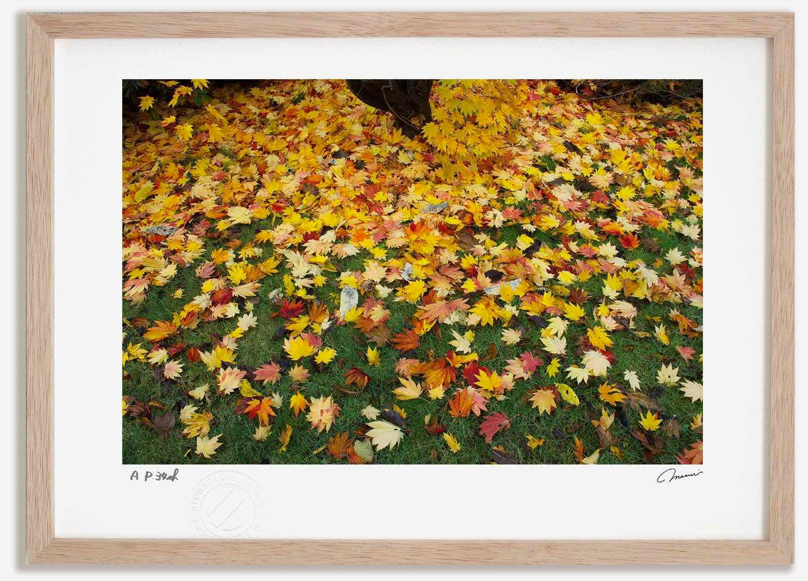 匿名配送 豊田商事株式会社 レア 1985年 カレンダー 昭和 希少