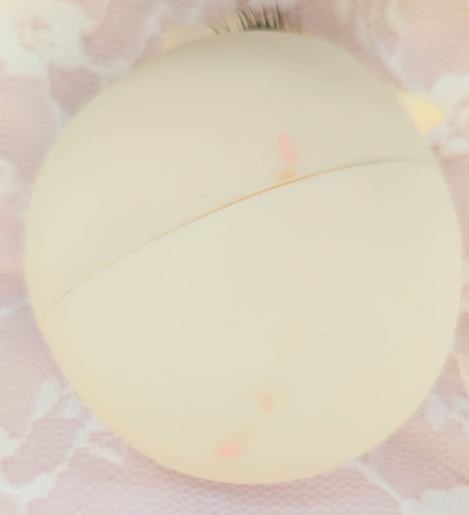 バラ
