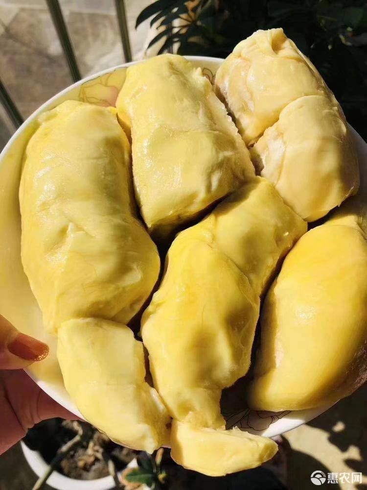ベトナム産 冷凍果物