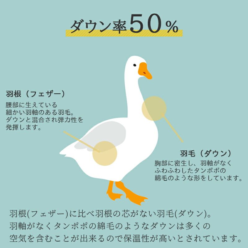 ウォッシャブル 春