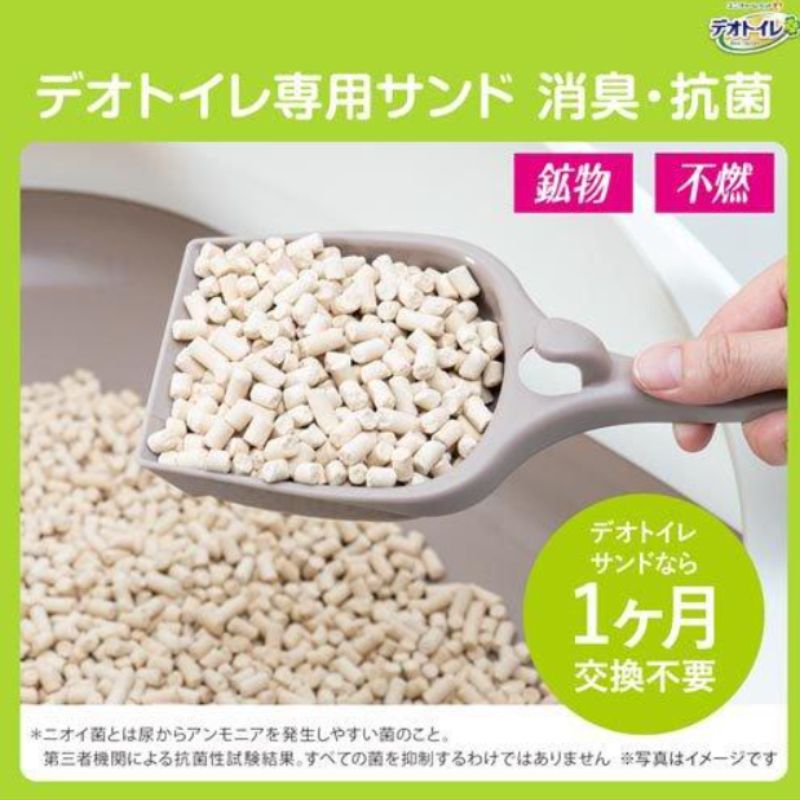 チャーム 株