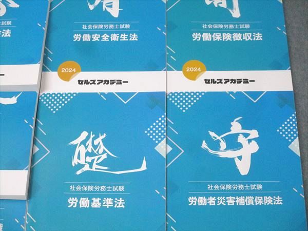 セルズアカデミー 社会保険労務士試験 社会保険に関する一般常識/国民年金法/労働基準法等 状態良多数 2024 10冊 131L4D セルズアカデミー 社会保険労務士試験 社会保険に関する一般常識