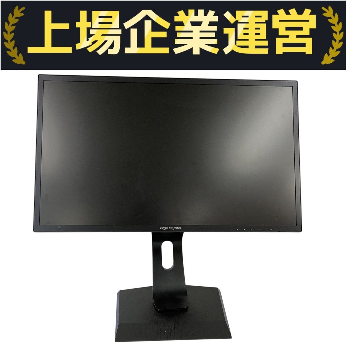 IO-DATA EX-LDGC242HTB GigaCrysta 23.6型 23.6インチ