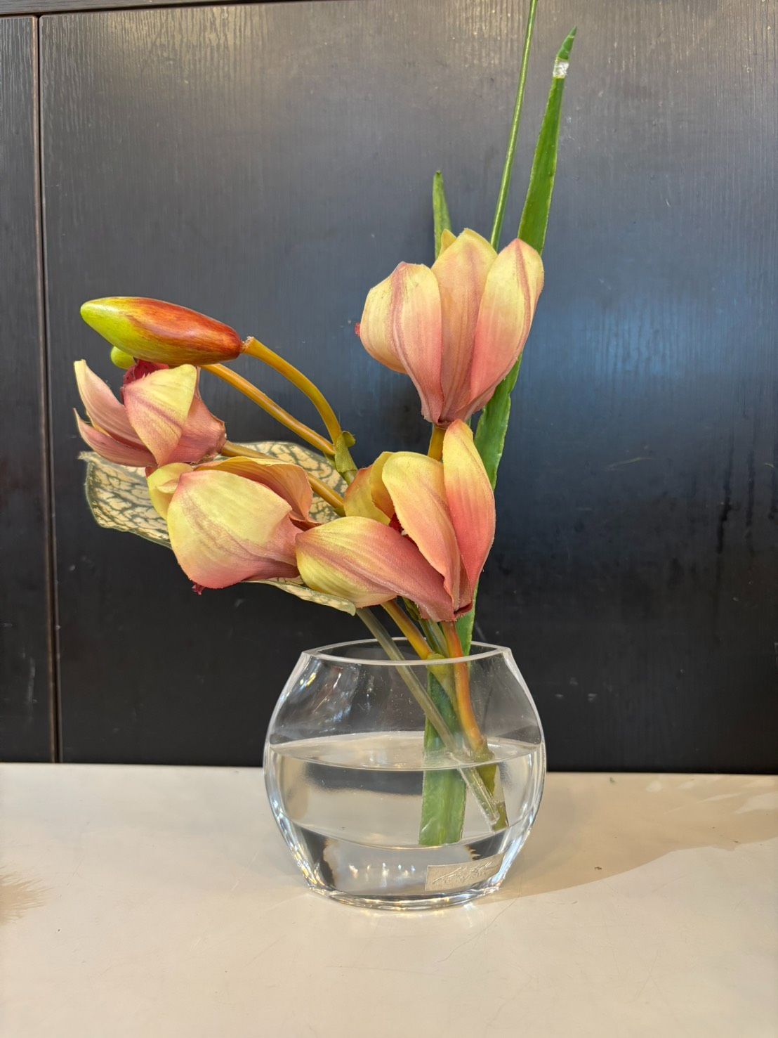 訳アリ品含む エミリオロバ