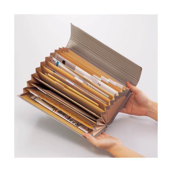  ライオン事務器 ドキュメントファイルA 4 32ポケット DC-431 N 1冊 書類ケース 図面ケース ファイル バインダー ケース