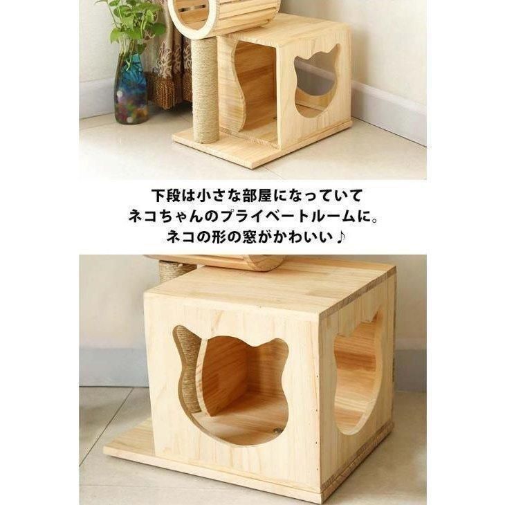 キャットハウス