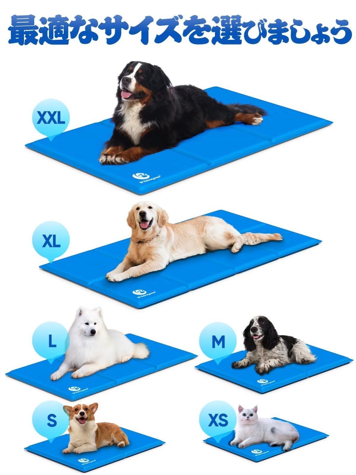 犬