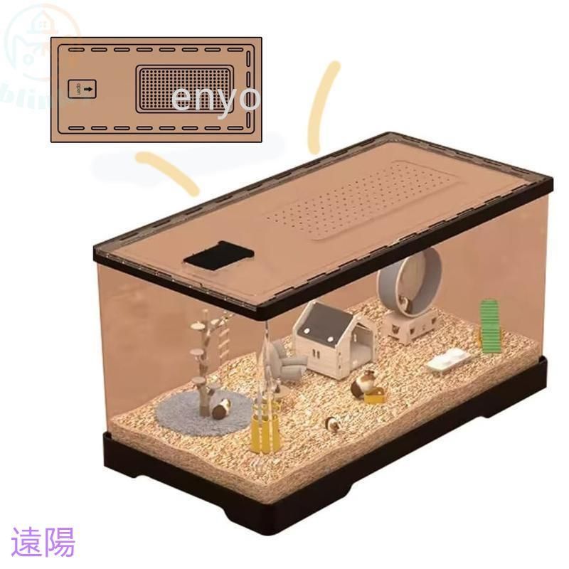 モルモ