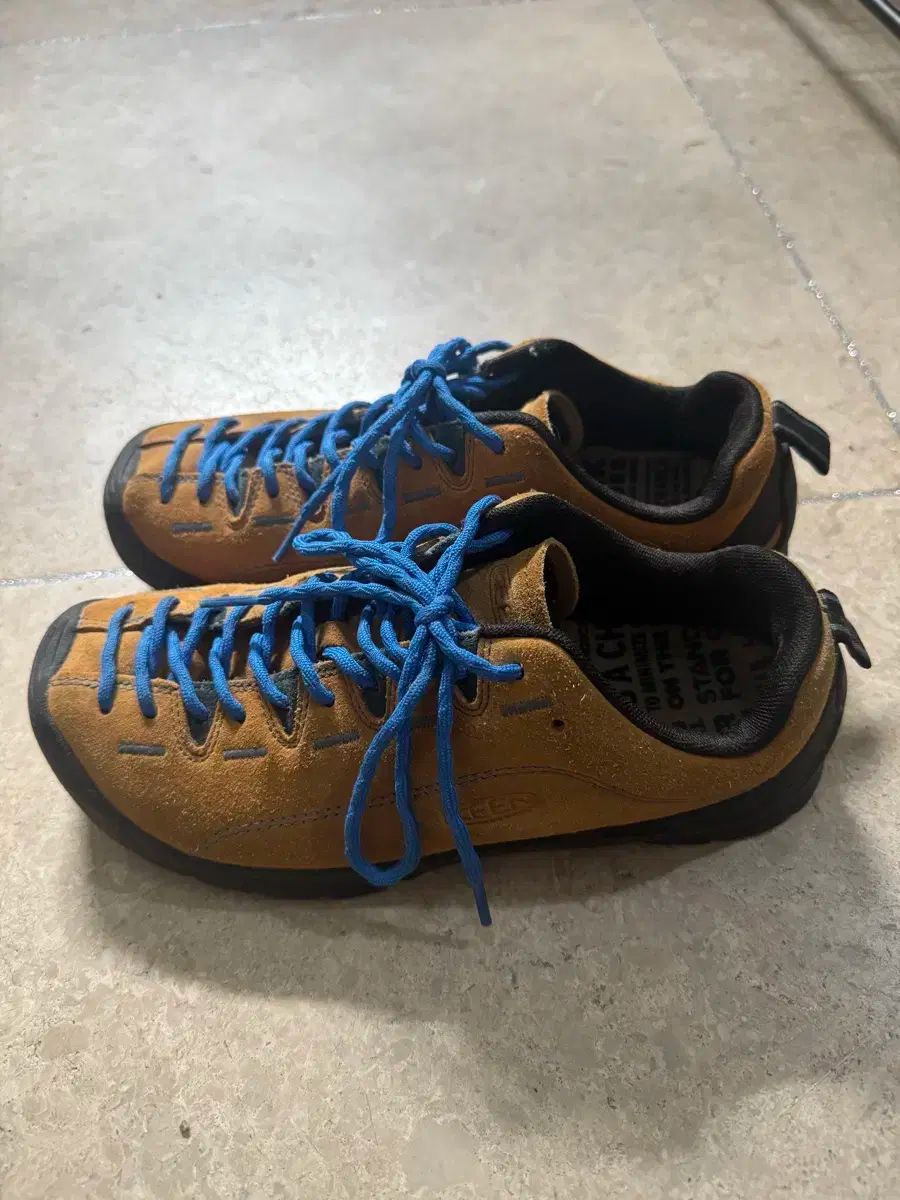 KEEN キーン ジャスパー スエード スニーカーズ キャメル