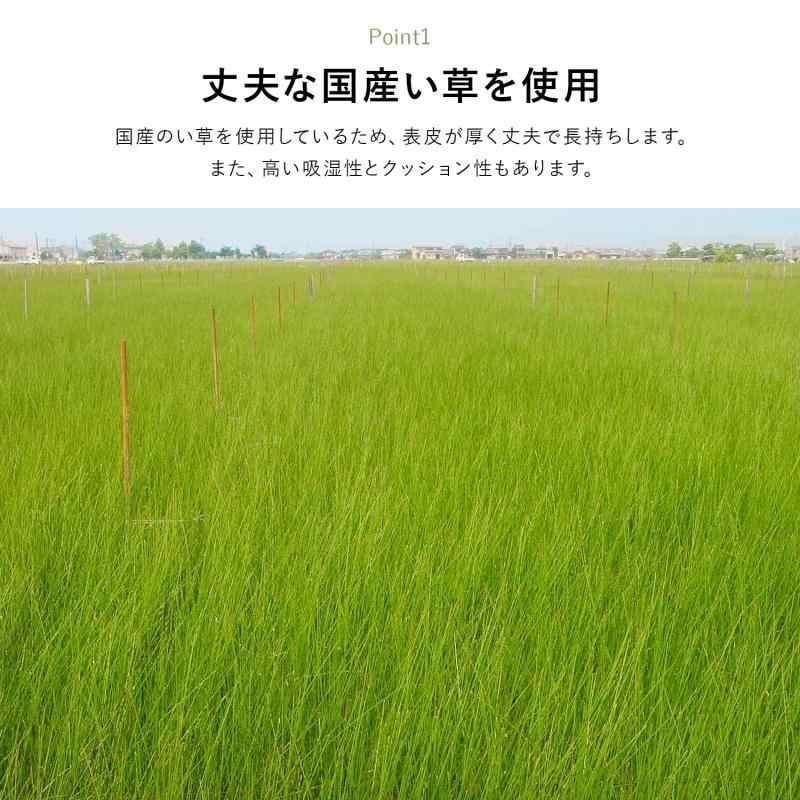 ラグ