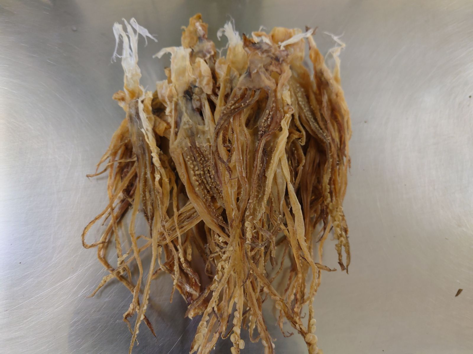 前浜するめS足【4kg 】 【公式通販】