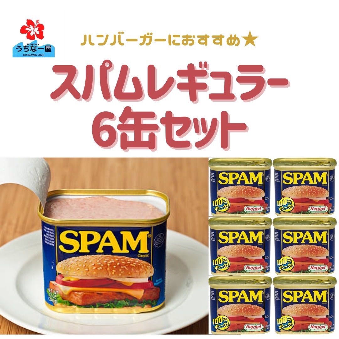 SPAM スパム 340g✕6缶セット - 肉類(加工食品)