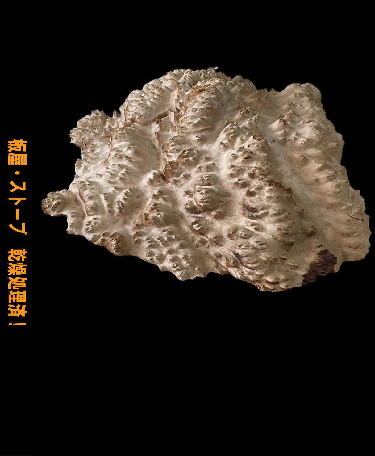レッドマリー M2-37 一枚板 乾燥処理済！ レジン 瘤 半丸型