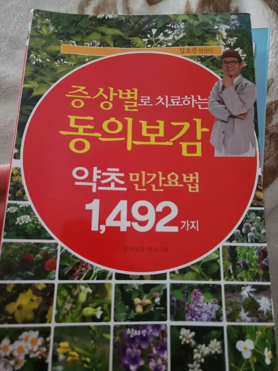 小暮真望 【雲海にたいする宝永富士】 セリグラフ