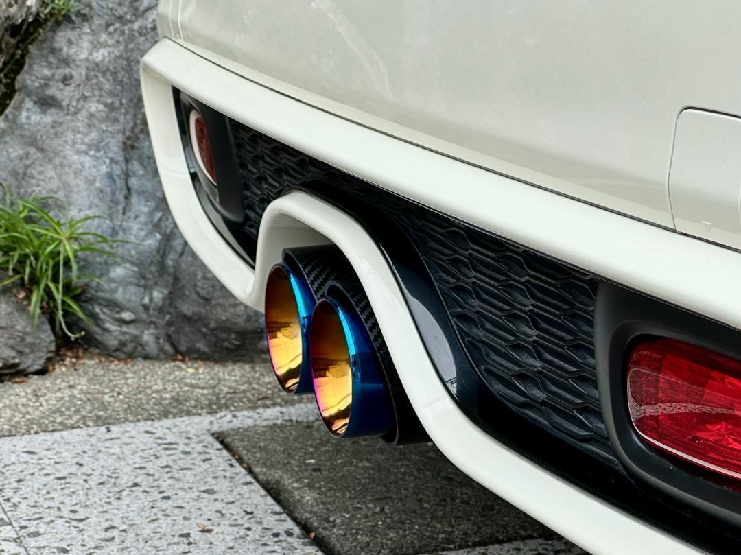 マフラーカッターF54