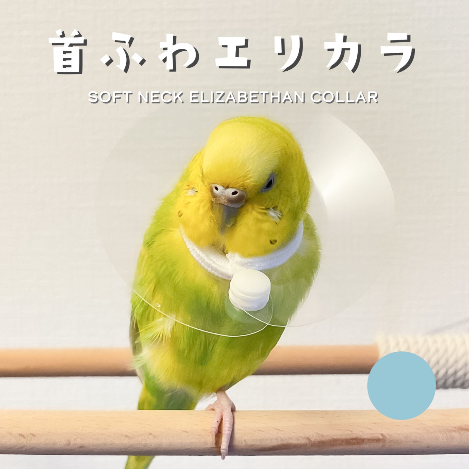 首元ふんわり  小鳥のエリザベスカラー セキセイインコ用 ブルー 1.7g