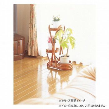 廃盤モデル 今枝商店 Romantic Rattan 籐フラワーラック W217 購入特典