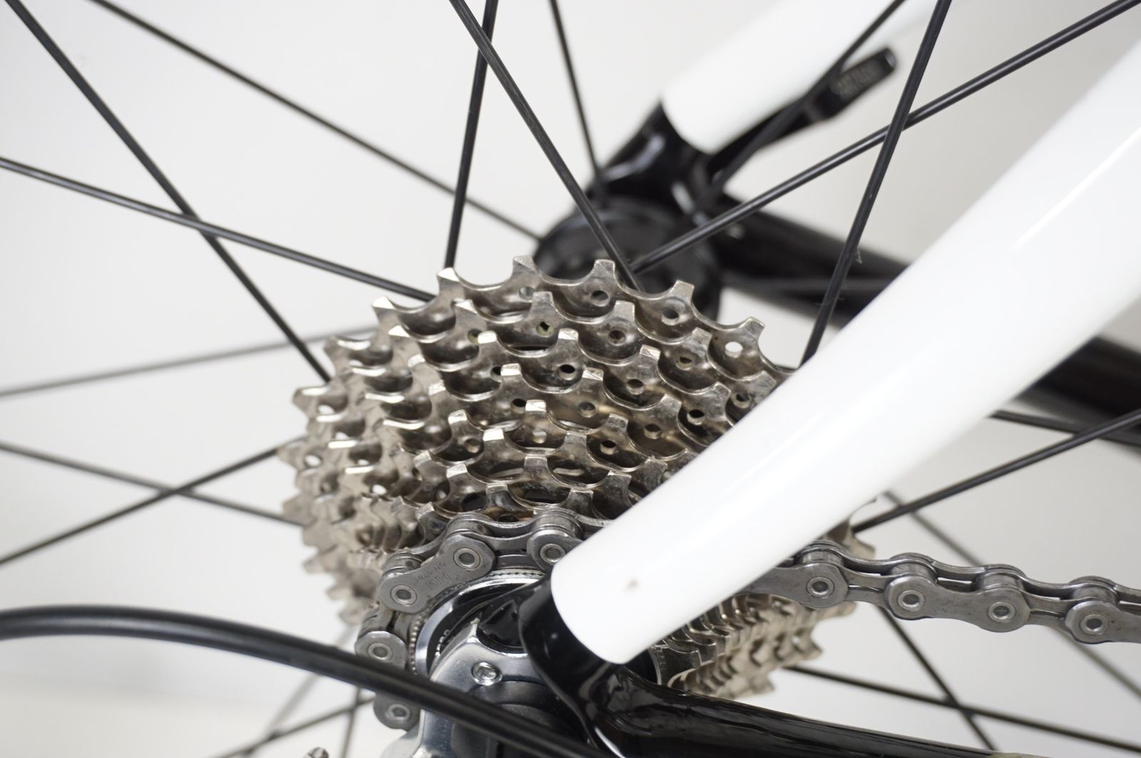 KUOTA クオータ