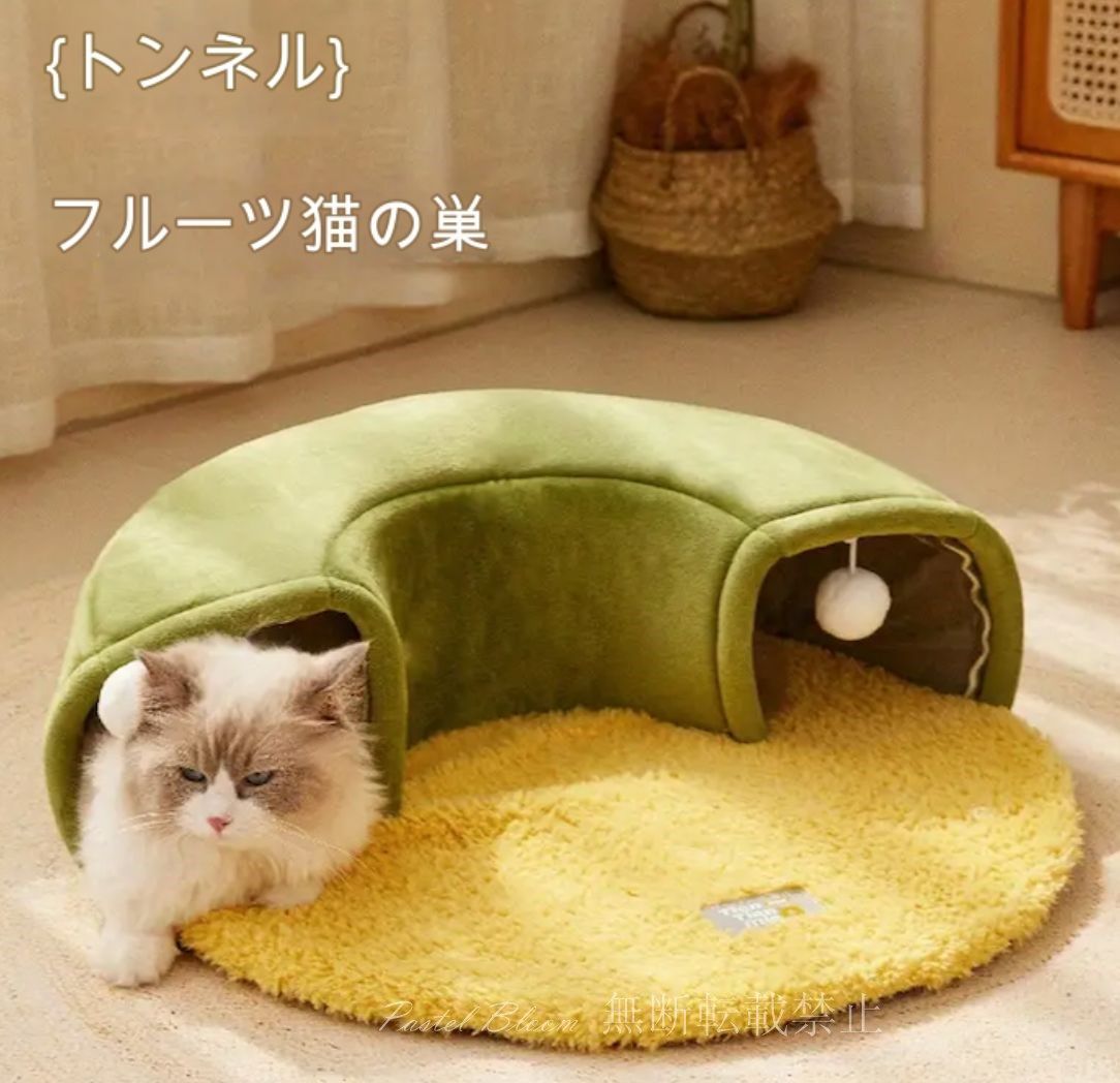 小型猫 中型猫