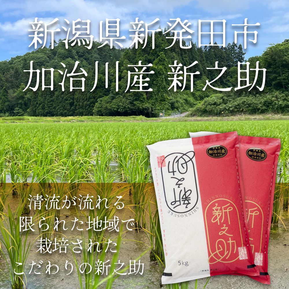 令和6年産 新潟のお米 絶品 こだわりの新潟県産 新之助 新発田市加治川産 10kg み