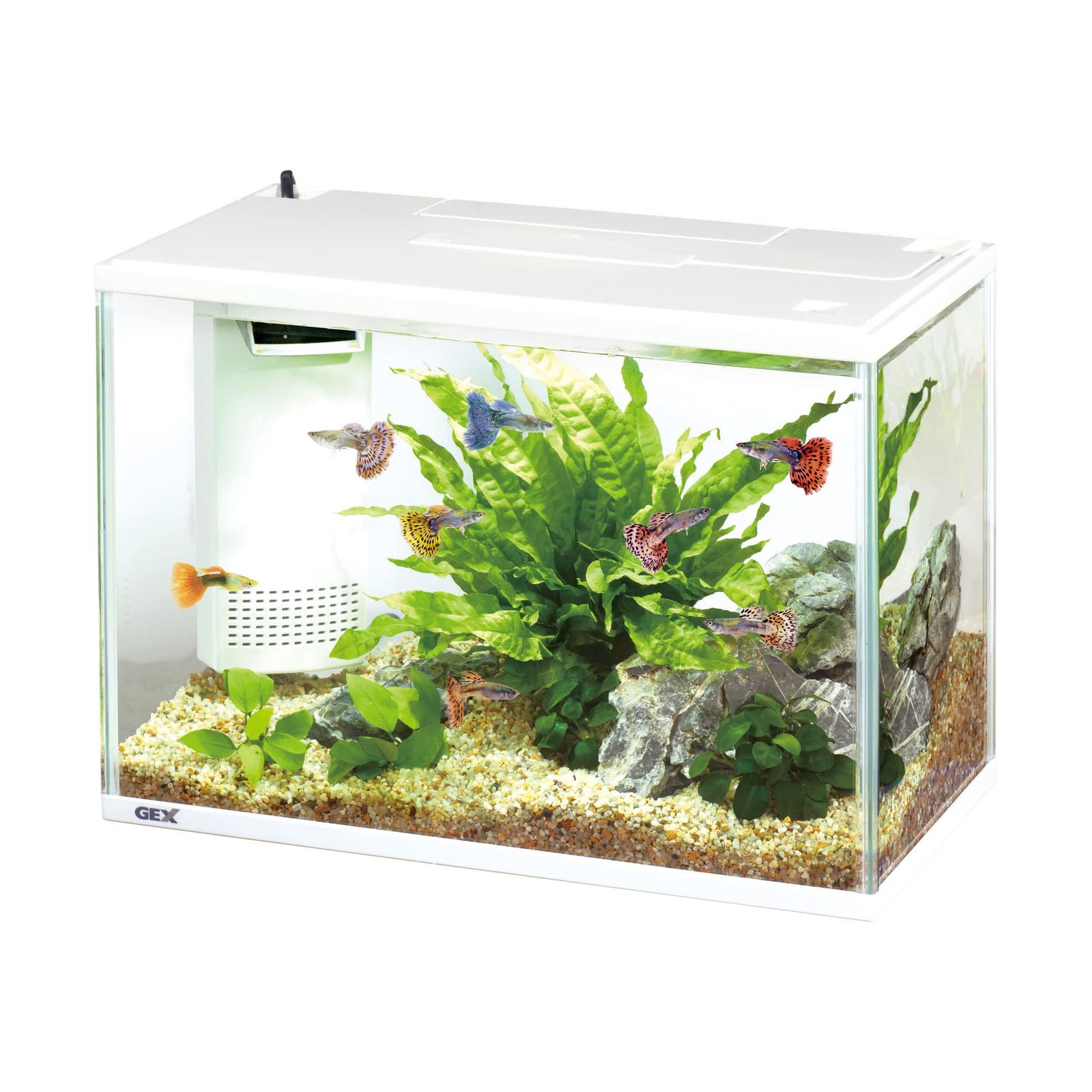 金魚用 LEDセット
