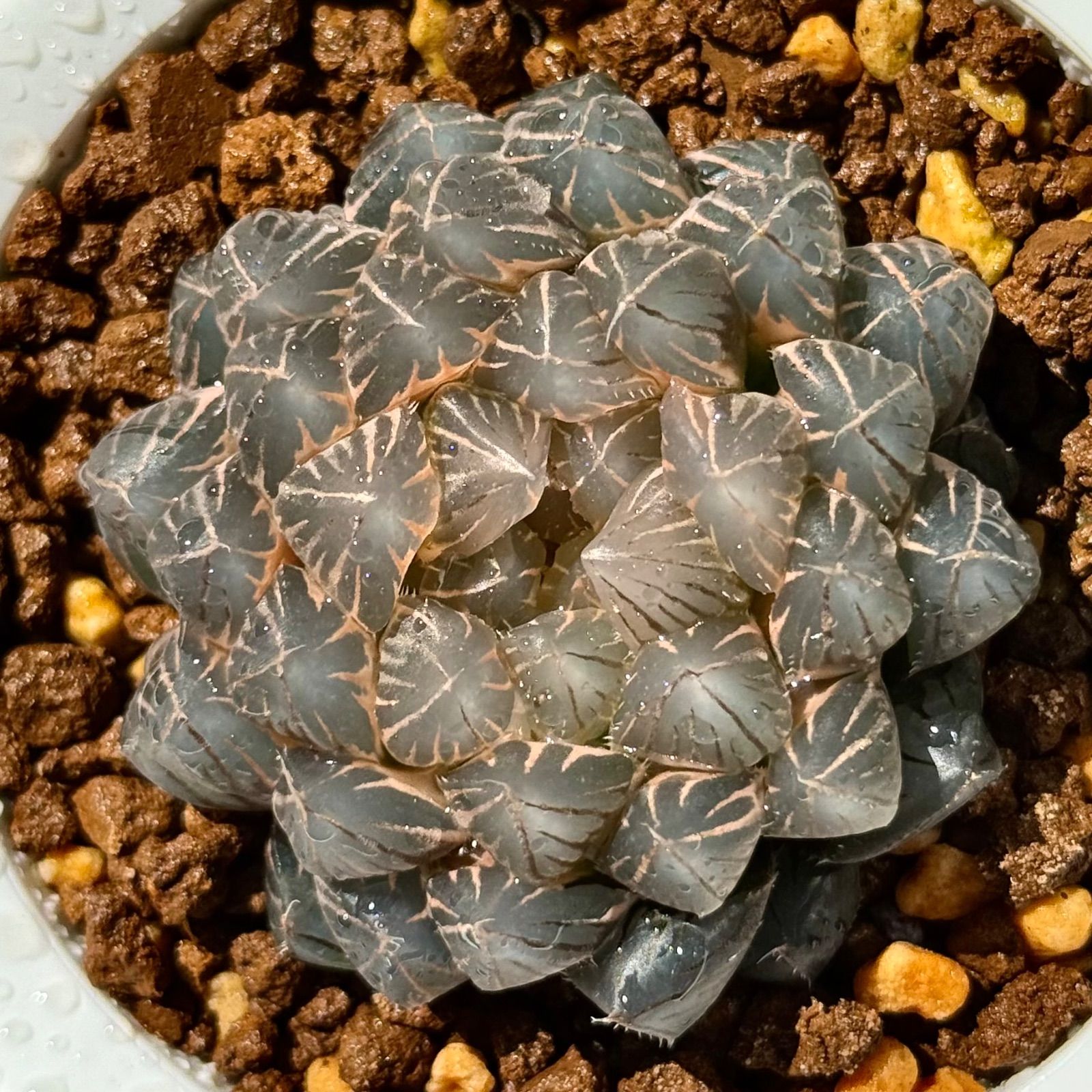 KUNY'S AP527X 腰袋 ベージュ サスペンダー付 腰道具 KUNY'S AP527X 腰袋 ベージュ サスペンダー付 腰道具