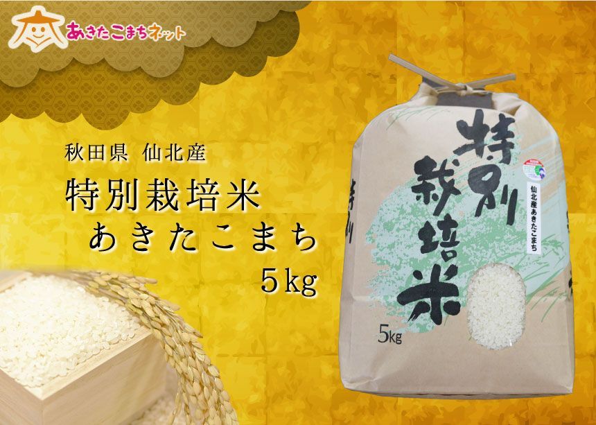 仙北産あきたこまち特別栽培米10ｋｇ(5kg×2袋)【令和３年産】-0