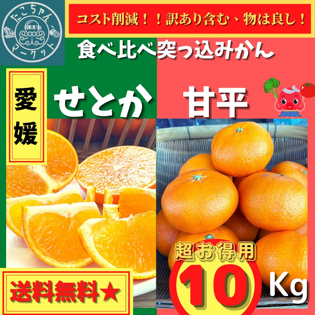 緊急 食べ比べ突っ込みかん 愛媛県 サイズはいろいろ 甘平×せとか 10kg