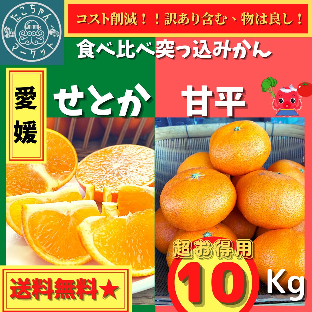 ○愛媛県　甘平　10kg