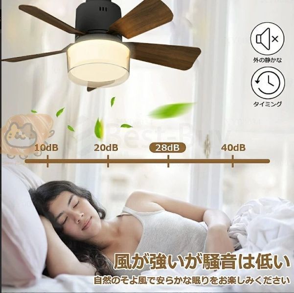 超美品✨AS540 シーリングファン [リモコン付き] 超美品✨AS540