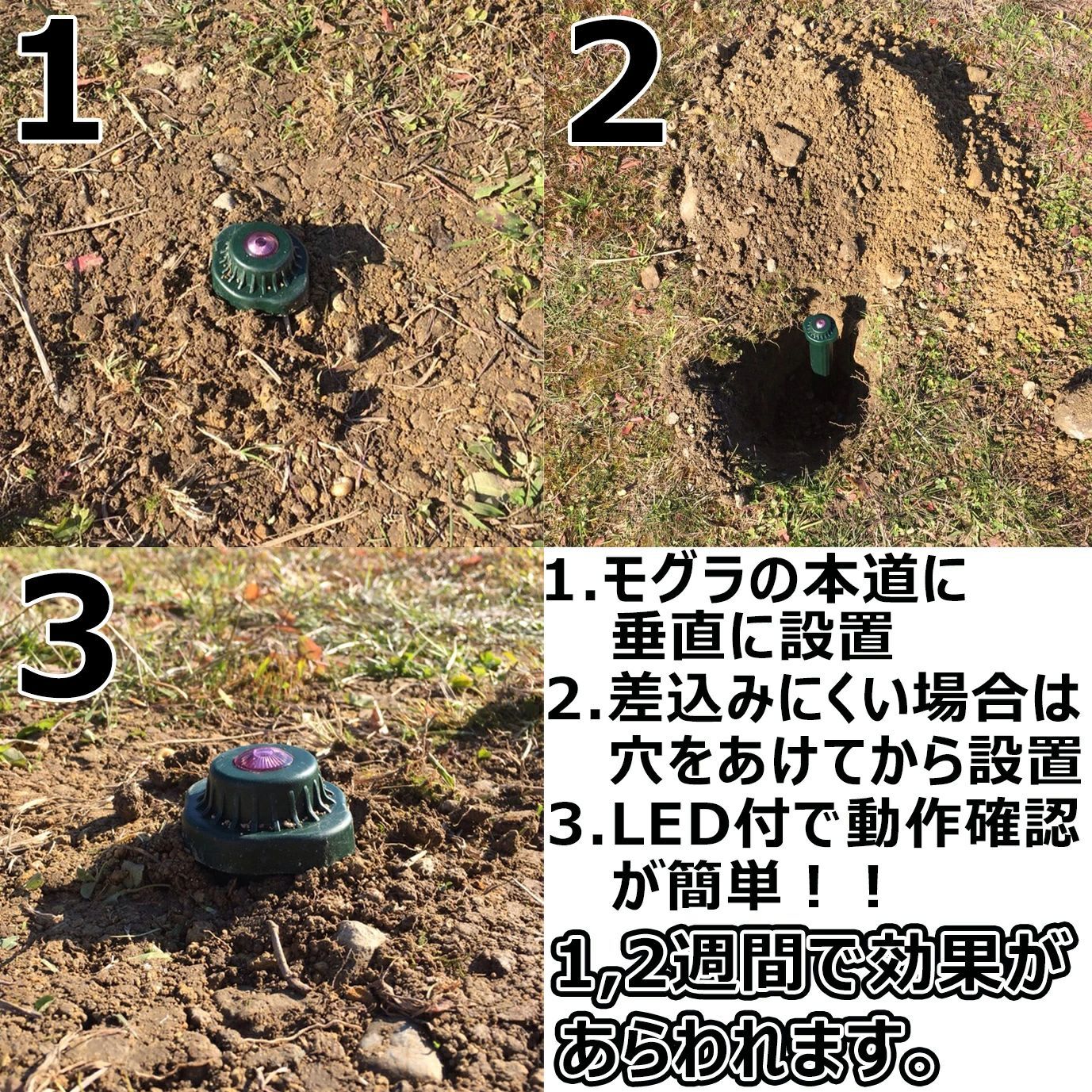 土竜 忌避