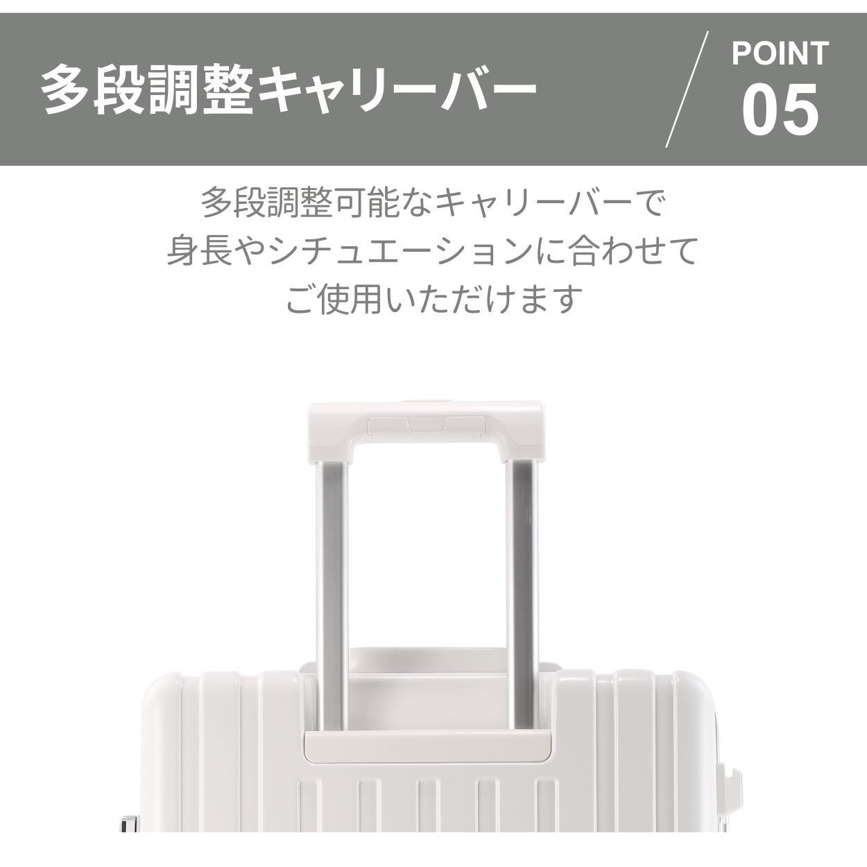 サイズ