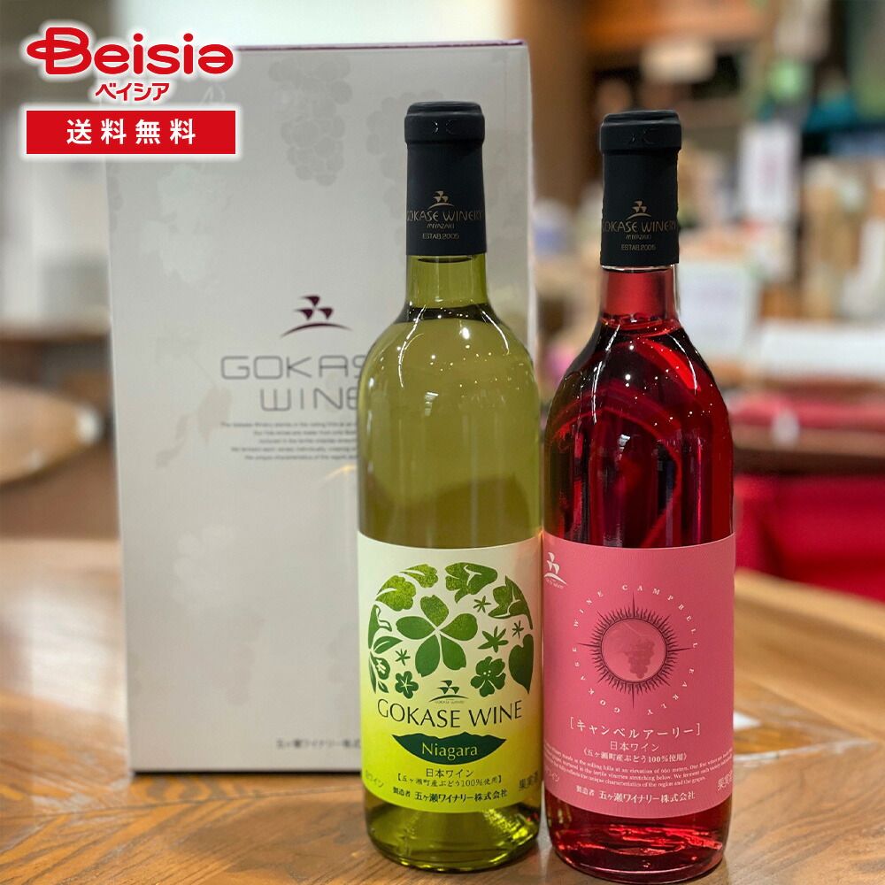 ショッフェル　スキー　GSワンピース　男性用　Lサイズ ショッフェル スキー GSワンピース 男性用 Lサイズ