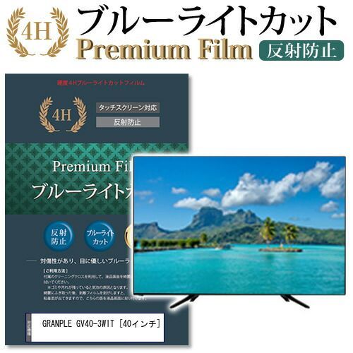 GRANPLE GV40-3W1T 40インチ 機種で使える ブルーライトカット 液晶TV 保護フィルム メール便 jgs bgt