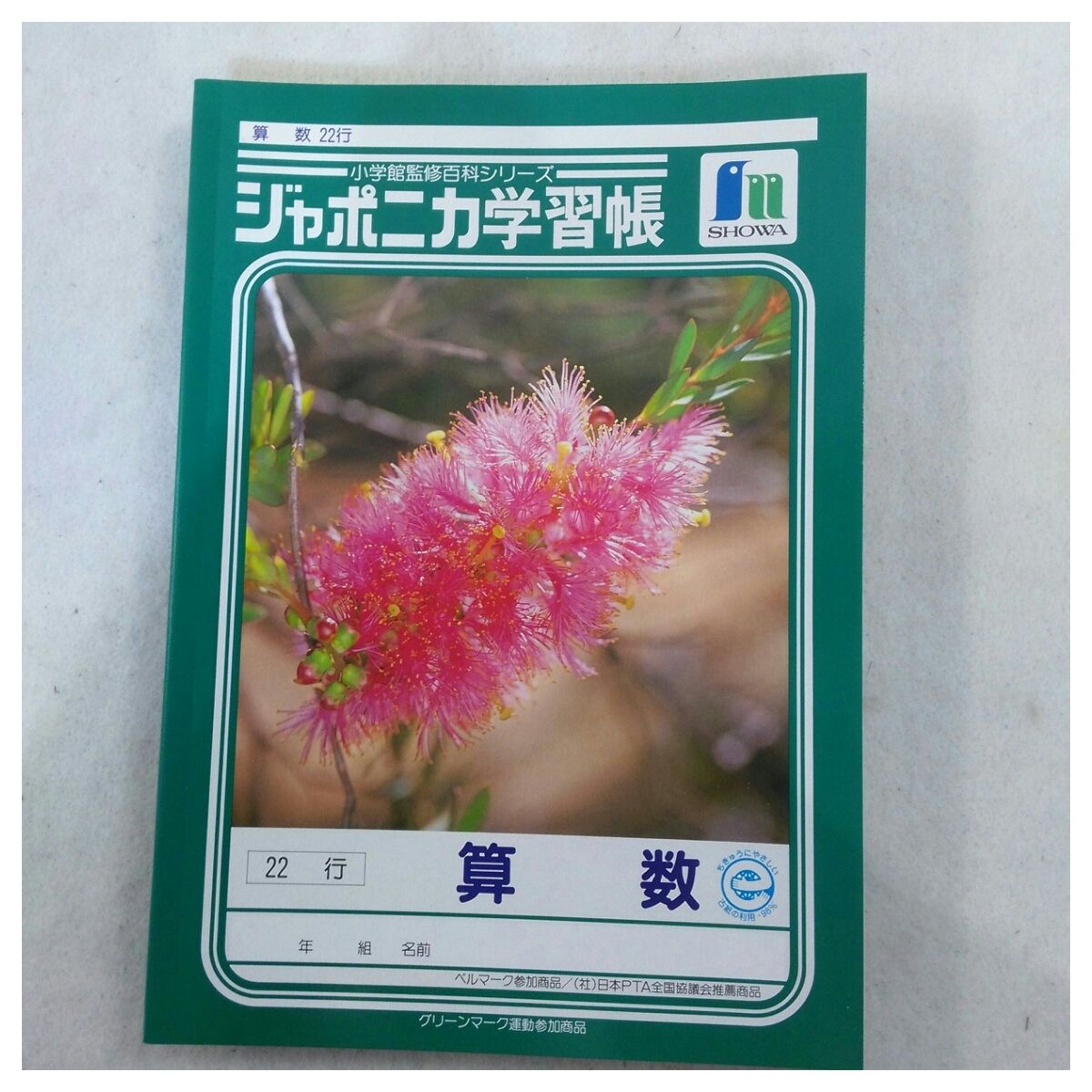 未使用品 ショウワノートジャポニカ学習帳 さんすう 22行 JL-5×5冊セット【送料無料】【メール便でお送りします】代引き不可