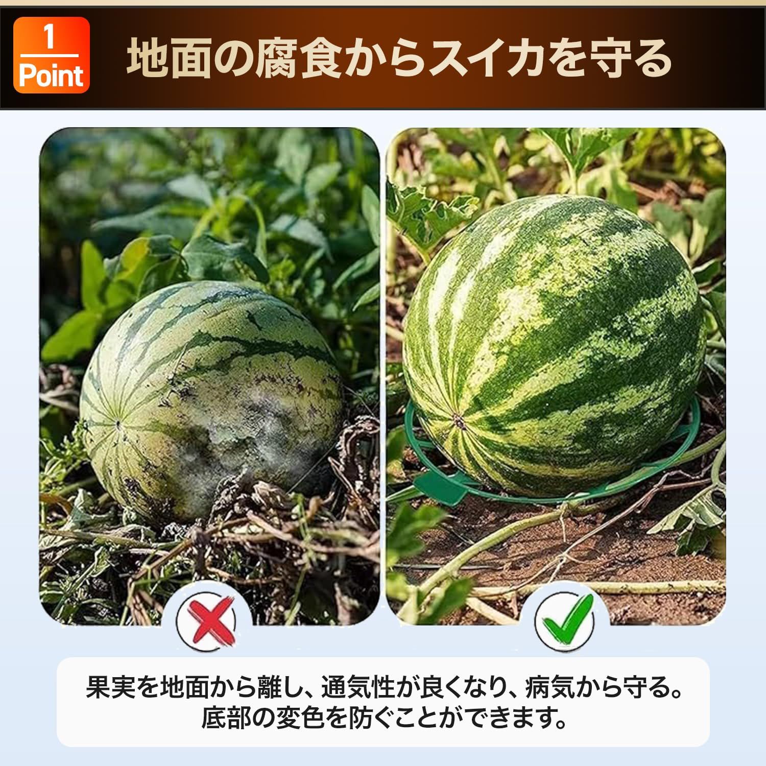 野菜栽培