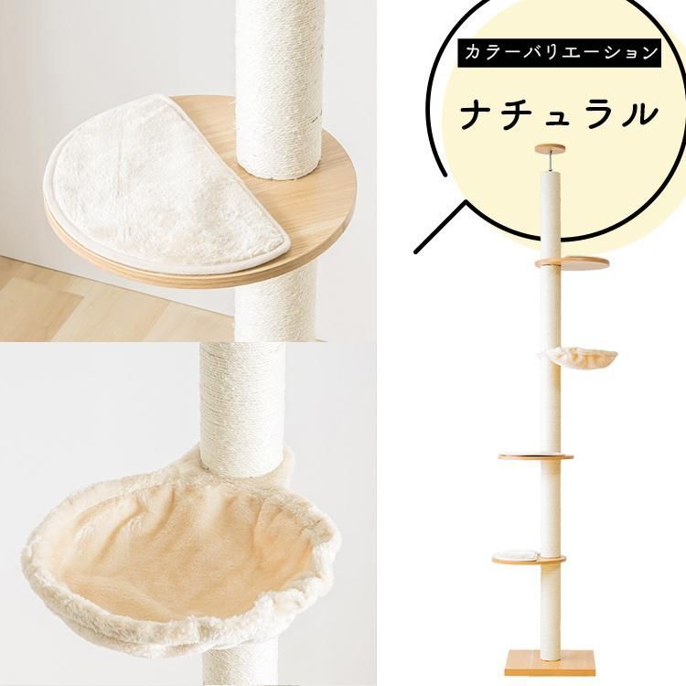 おしゃれ キャット