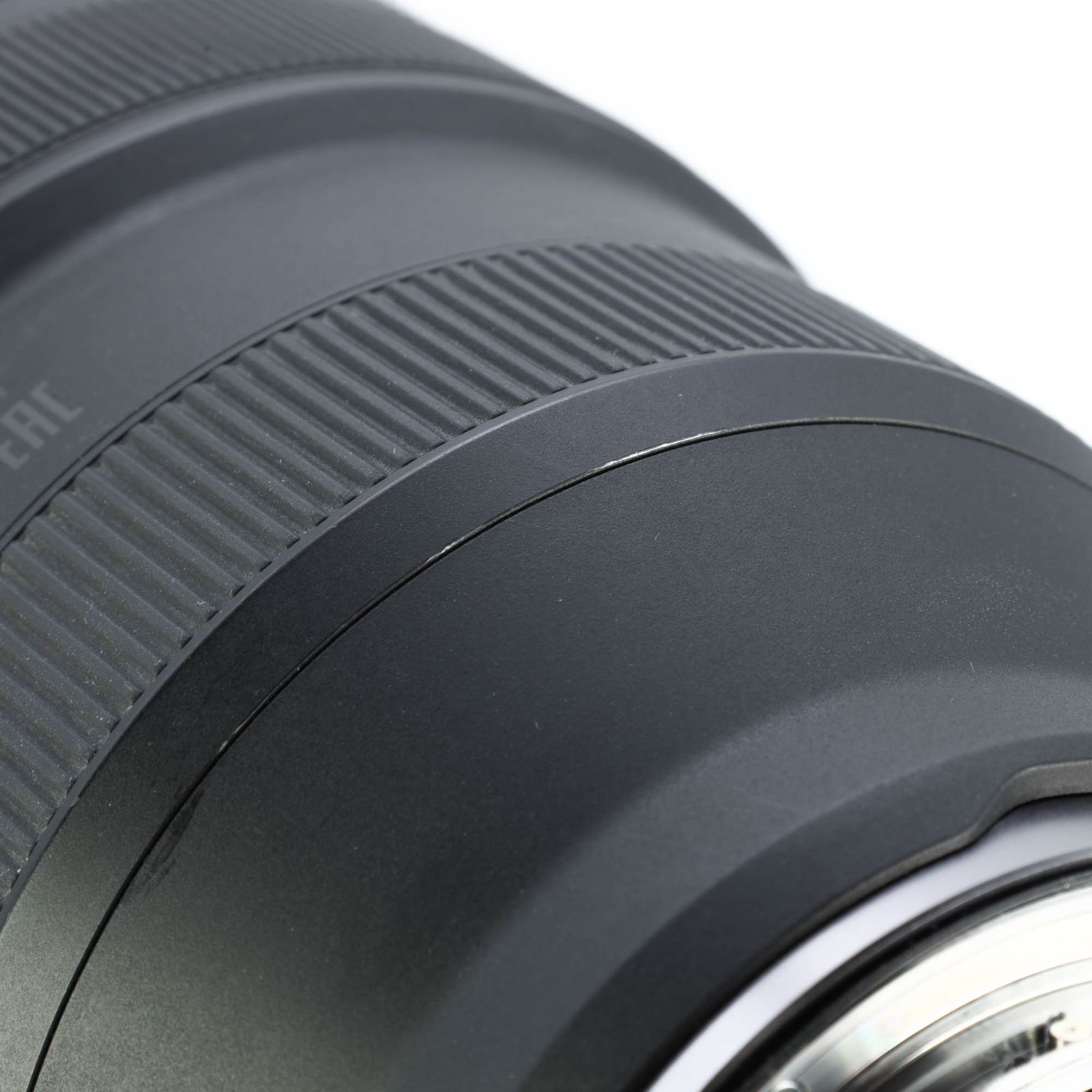 真作】掛軸 東東洋 寿老人図 文化七年春写 亀と巻物の吉祥図 合箱入