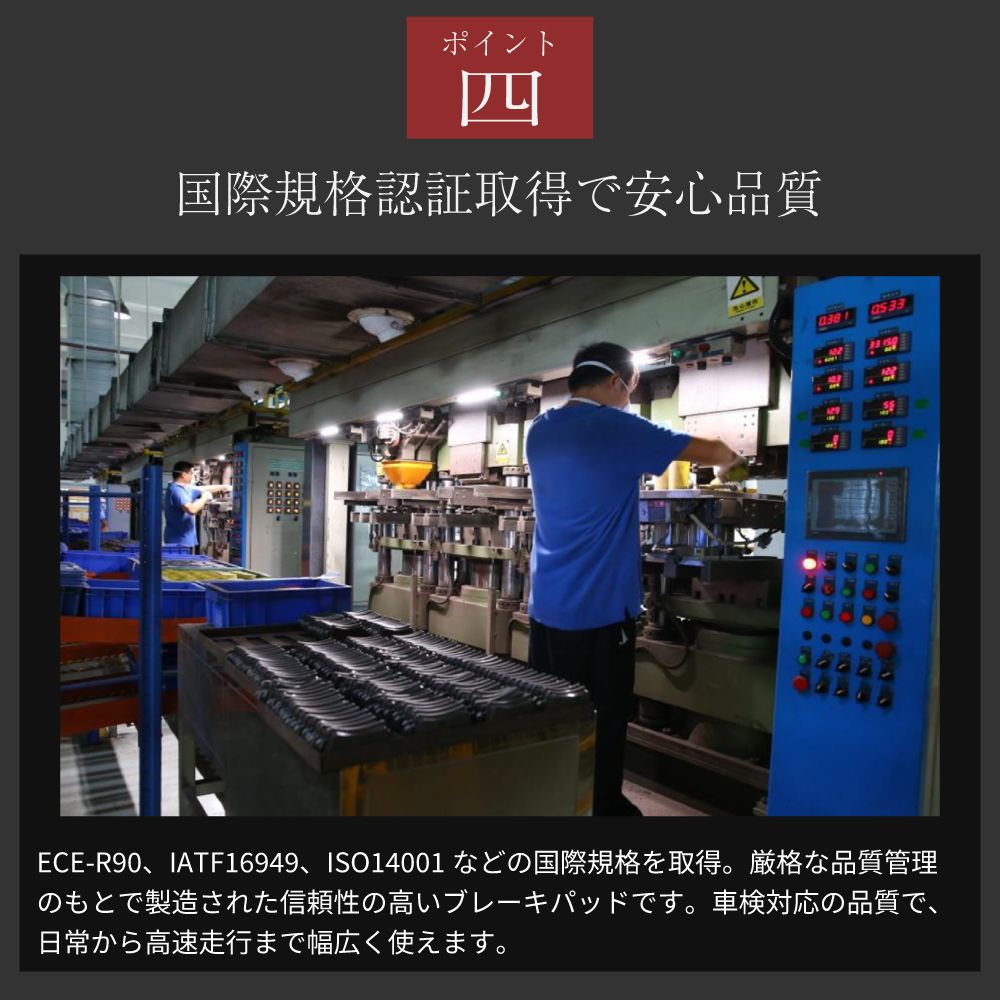 富貴蘭 大花火 富貴蘭「（仮名）大花火」 富貴蘭 緑花 - 「同行蘭風