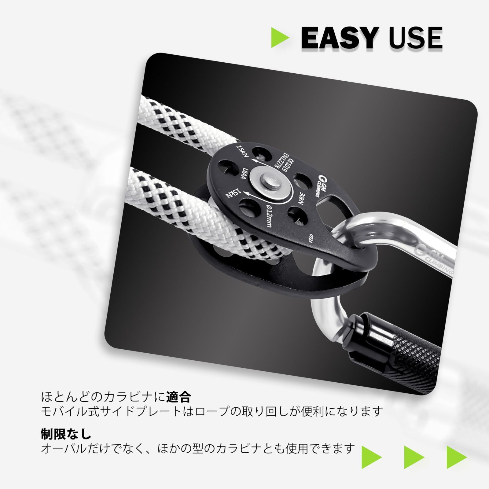 プーリーシステム設置 レスキュー 伐採 ツリークライミング