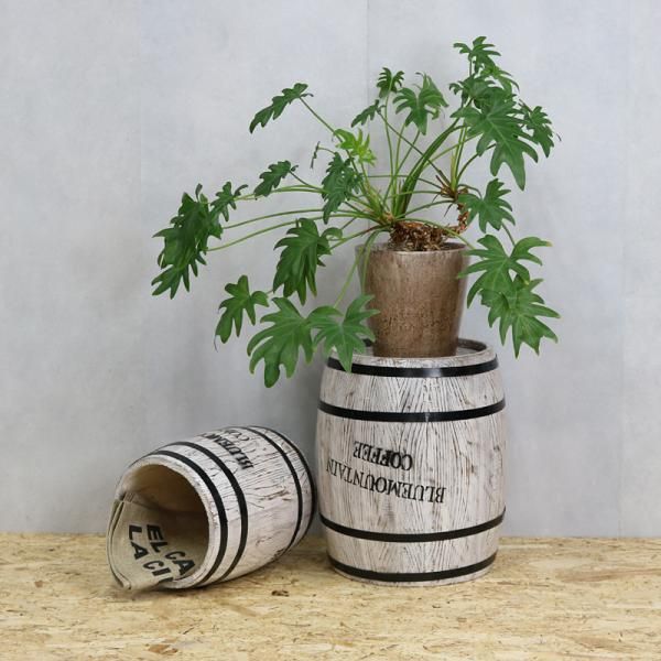 Ｈ*o様 希少✨️ウェッジウッド コーヌコピア 八角形 サラダボウル 小鉢 深皿 ボウル|WEDGWOOD公式オンラインストア H*o様 希少✨️ウェッジウッド