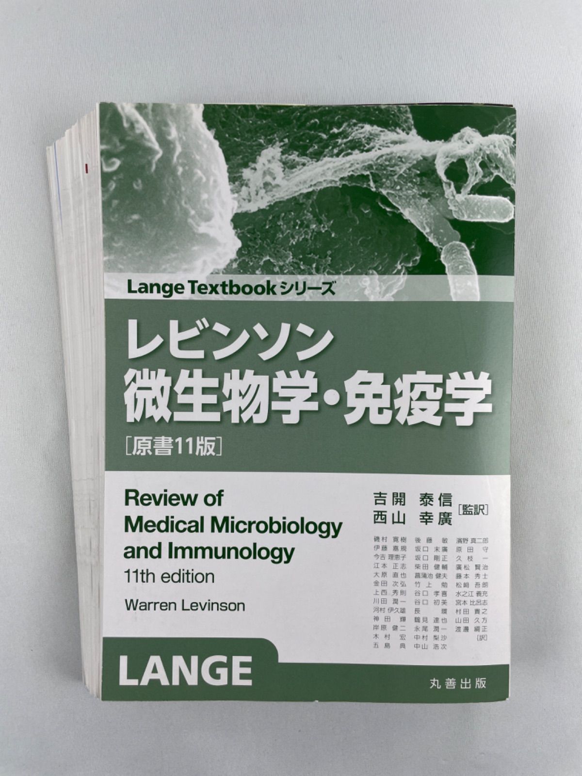 裁断済】レビンソン微生物学・免疫学 原書11版(Lange Textbook