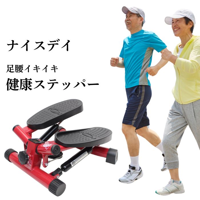 ほぼ新品】ダイエット器具 健康 ナイスデイ