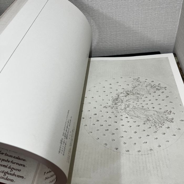 ボッティチェルリ『神曲』素描 ベルリン美術館・ヴァティカン美術館 ボッティチェルリ 神曲 素描 ベルリン美術館 ヴァティカン美術館